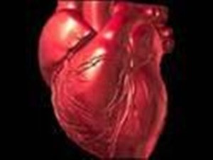 Tips For Healthy Heart Tips For Healthy Heart