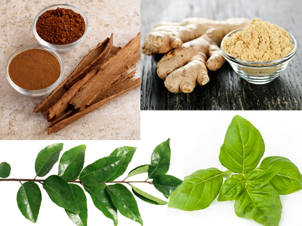 home remedies for diseases 