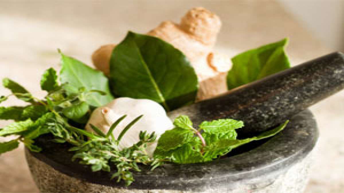 ಬೊಜ್ಜು ಕರಗಿಸುವ ಪರಿಣಾಮಕಾರಿ ಗಿಡಮೂಲಿಕೆ ಯಾವುದು? 5 Common Herbs to Burn