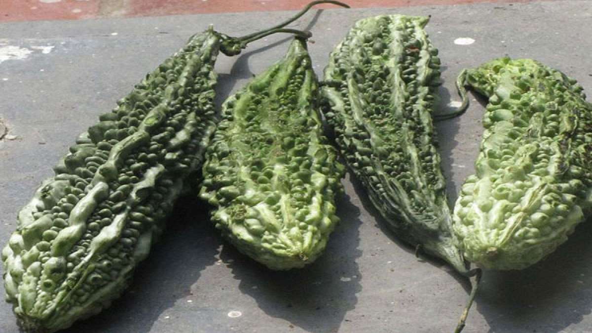 ಹಾಗಲಕಾಯಿಯ 10 ಚಮತ್ಕಾರಿಕ ಗುಣಗಳು 10 Amazing Benefits Of Bitter Gourd
