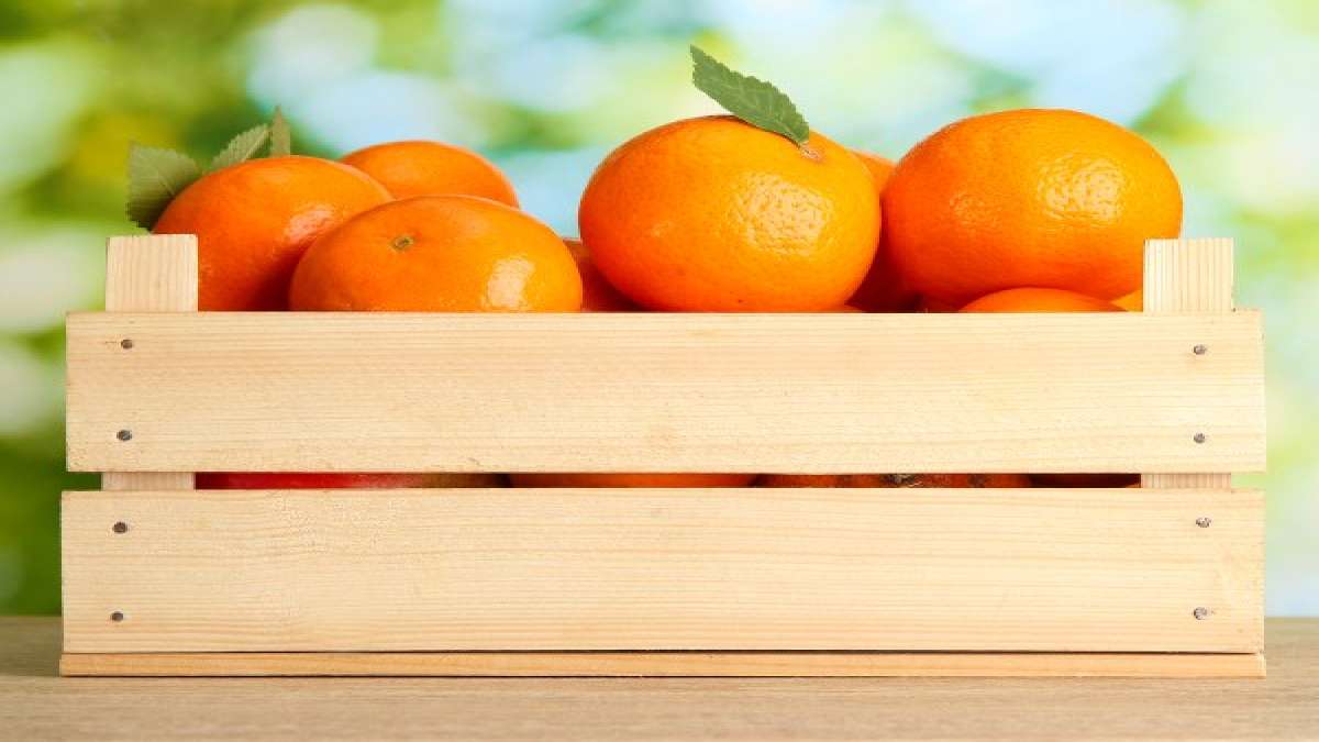 ಚಳಿಗಾಲದ ಸಂಜೀವಿನಿಹುಳಿ ಸಿಹಿ ರುಚಿಯ 'ಕಿತ್ತಳೆ ಹಣ್ಣು' its season for