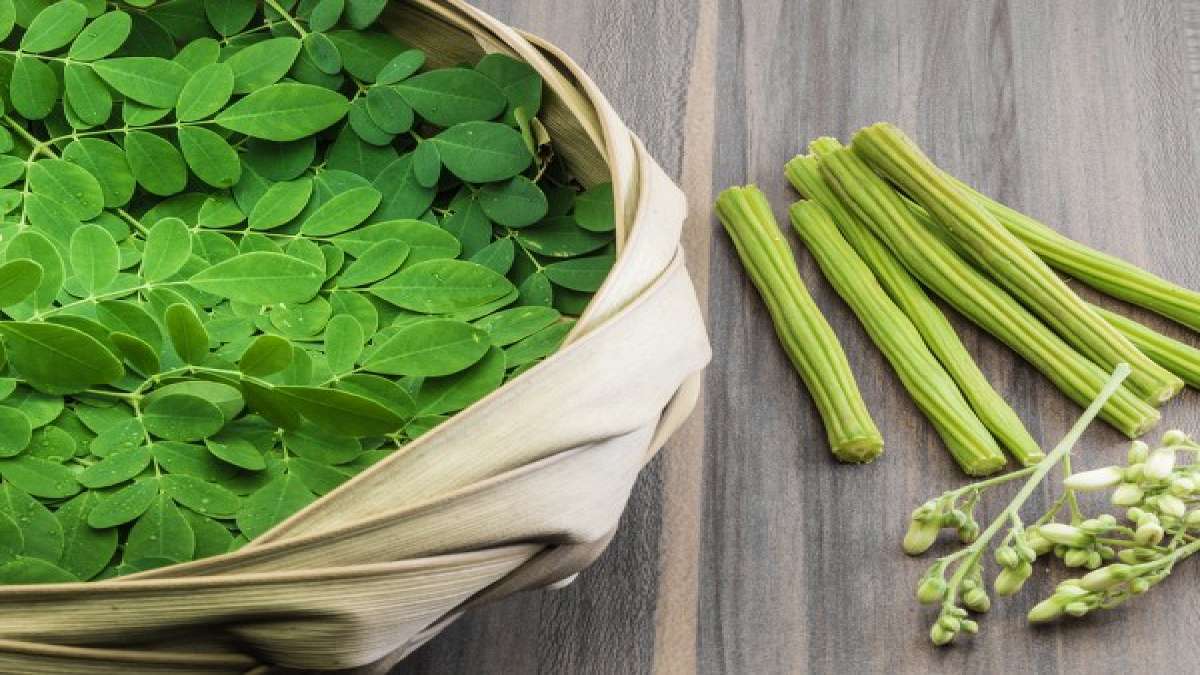 ನುಗ್ಗೆ ಸೊಪ್ಪು+ಅರಿಶಿನ ಬರೋಬ್ಬರಿ ಏಳು ರೋಗಕ್ಕೆ ಮದ್ದು.... Health benefits