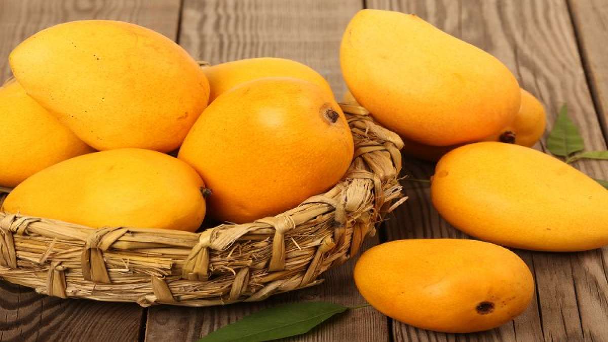 ಹಣ್ಣುಗಳ ರಾಜ 'ಮಾವಿನಹಣ್ಣು' ಗರ್ಭಿಣಿಯರ ಆರೋಗ್ಯಕ್ಕೆ ಒಳ್ಳೆಯದು... Mango