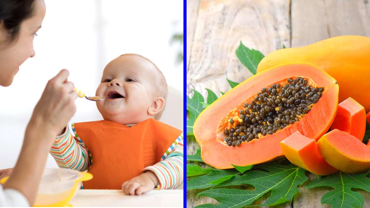 ಆರೋಗ್ಯಕಾರಿ ಪಪ್ಪಾಯಿ ಹಣ್ಣನ್ನು ಮಕ್ಕಳು ತಿನ್ನಬಹುದಾ? Benefits And Side