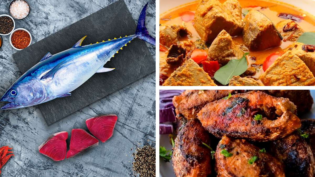 ತುನಾ ಮೀನಿನಲ್ಲಿ ಮರ್ಕ್ಯೂರಿ ಇರುವುದರಿಂದ ಹೇಗೆ ತಿಂದರೆ ಸುರಕ್ಷಿತ? Is It Safe