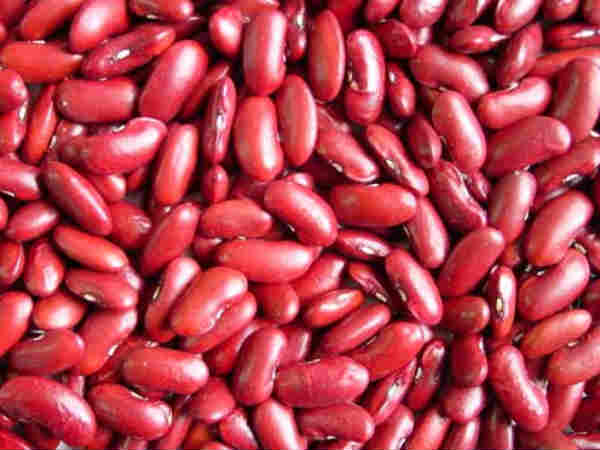 ಸಲಹೆ 9