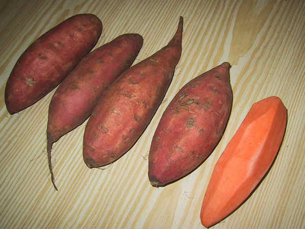 ಸಿಹಿ ಗೆಣಸು
