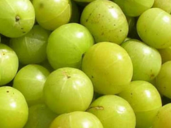 ನೆಲ್ಲಿಕಾಯಿ