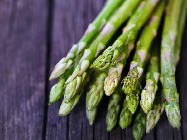 ಶತಾವರಿ (Asparagus)