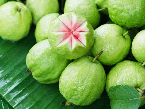 ಕ್ಯಾನ್ಸರ್ ರೋಗವನ್ನು ತಡೆಗಟ್ಟುತ್ತದೆ