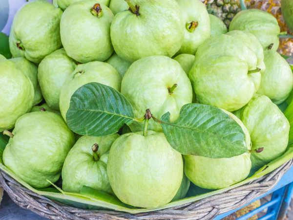 ರಕ್ತದೊತ್ತಡವನ್ನು ಸರಿಯಾಗಿ ಕಾಪಾಡಿಕೊಳ್ಳಲು ಸಹಕಾರಿಯಾಗಿದೆ