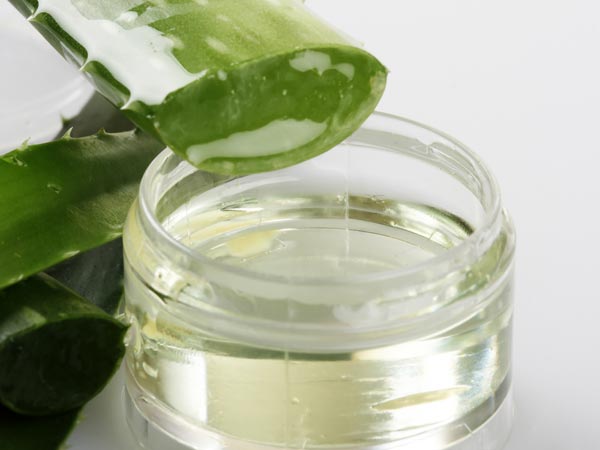 ಲೋಳೆಸರ (aloe vera)