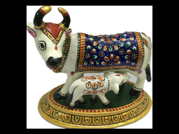 ರಾಜಸ್ಥಾನಿನ ಸ್ಪರ್ಶ