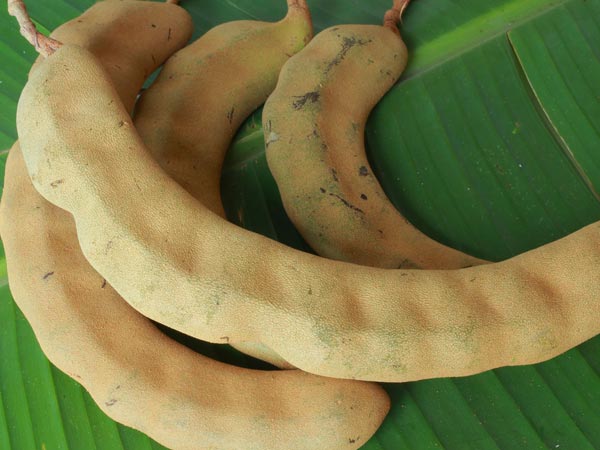 ಫೇಸ್ ಟೋನರ್ ಆಗಿ ಬಳಸಿ