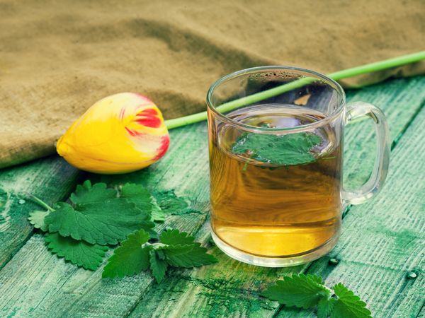 ಪುದೀನ ಚಹಾ