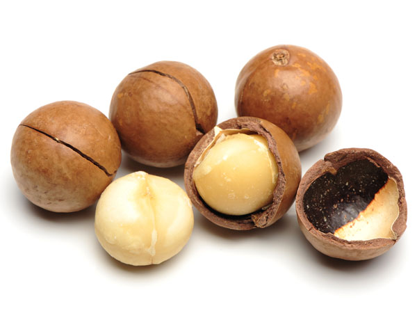 ಮೆಕಾಡಮಿಯ ಬೀಜಗಳು