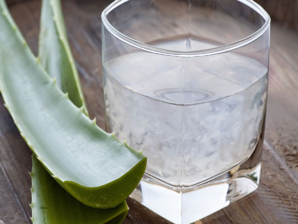 ಲೋಳೆಸರ (Aloe Vera)
