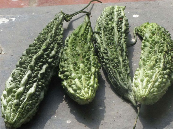 ಕರುಳಿನಲ್ಲಿರುವ ಕ್ರಿಮಿಗಳನ್ನು ಕೊಲ್ಲುತ್ತದೆ