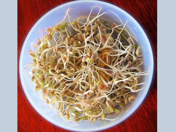 ಮೊಳಕೆ ಬರಿಸಿದ ಕಾಳುಗಳು