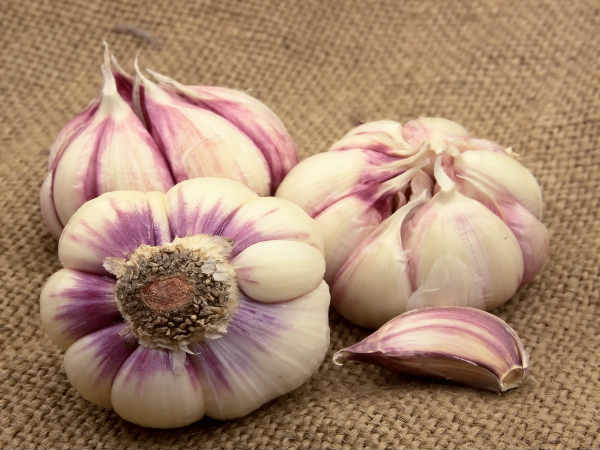 ಬಳಕೆಯ ವಿಧಾನ