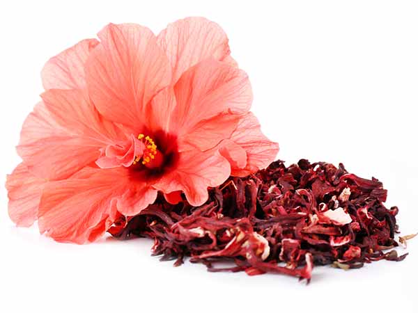 ಯಕೃತ್ ಅನ್ನು ರಕ್ಷಿಸುತ್ತದೆ