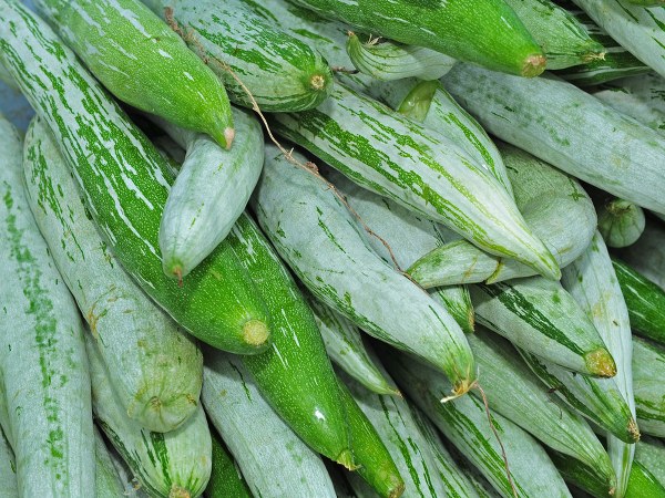 ಪಡವಲಕಾಯಿ ಹಾಗೂ ಮೆಂತೆ