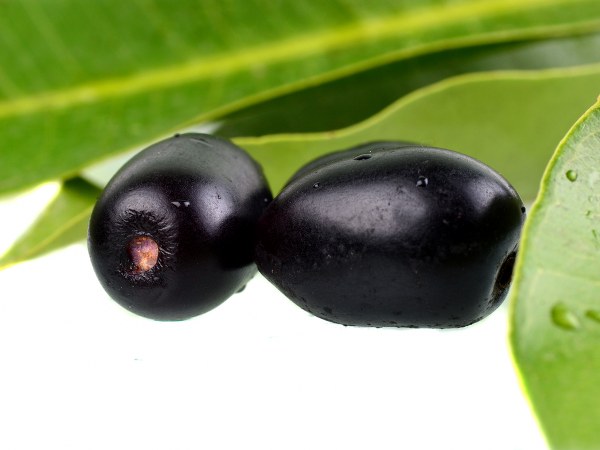 ಆಯಿಲಿ ಸ್ಕಿನ್ ಗೆ ಮುಕ್ತಿ ನೀಡುತ್ತೆ
