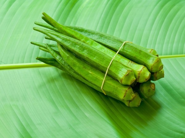 ತೂಕ ಇಳಿಸಲು ನೆರವಾಗುತ್ತದೆ