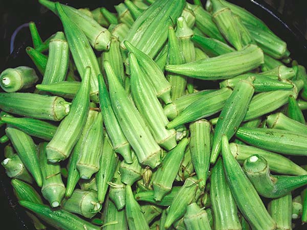 ಬೆಂಡೆಕಾಯಿ