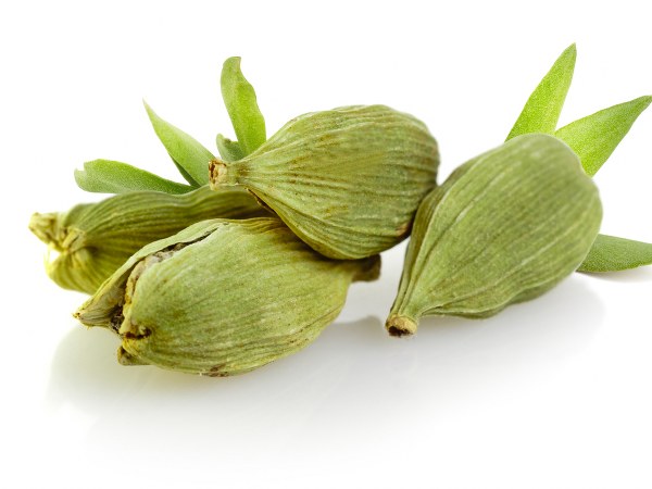 ರಕ್ತ ಸಂಚಾರವನ್ನು ಹೆಚ್ಚಿಸುತ್ತದೆ