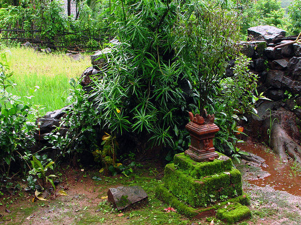 ಜ್ವರಕ್ಕೆ ತುಳಸಿ ಟೀ