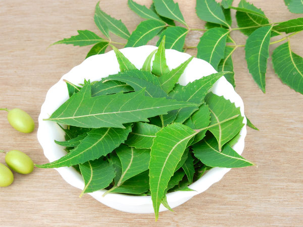 ಬೇವು