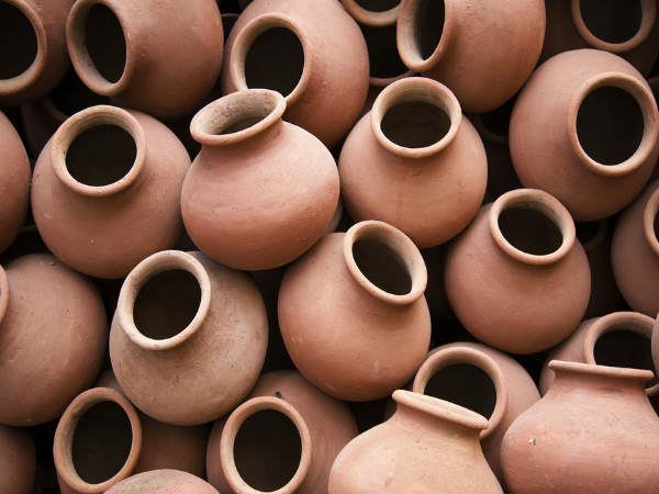ಜೀವರಾಸಾಯನಿಕ ಕ್ರಿಯೆ ಉತ್ತಮಗೊಳಿಸುತ್ತದೆ