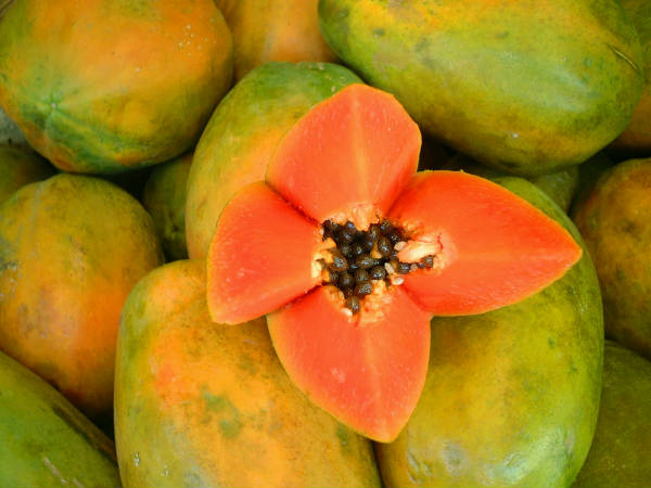 ಪಪ್ಪಾಯಿಯ ಸಲಾಡ್