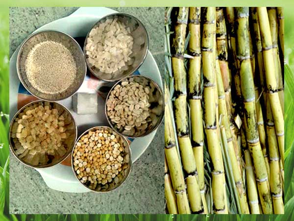 ಎಳ್ಳು ಮತ್ತು ಬೆಲ್ಲದ ಮಹತ್ವ