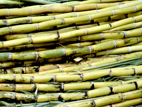 ಕಬ್ಬು