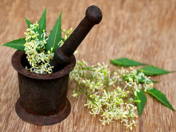 ಬೇವು ಮತ್ತು ಪಪ್ಪಾಯಿ ಎಲೆಯ ತಿರುಳು