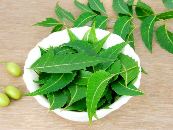 ಬೇವಿನ ಎಣ್ಣೆಯ ಬಳಕೆ