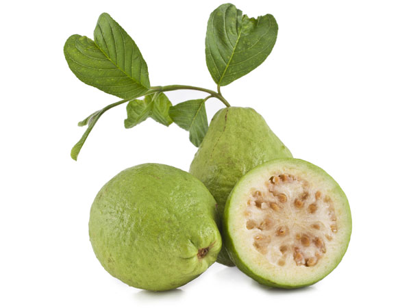ಇತರ ಉಪಯೋಗಗಳು