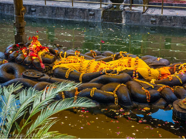 ಶೇಷನಾಗ