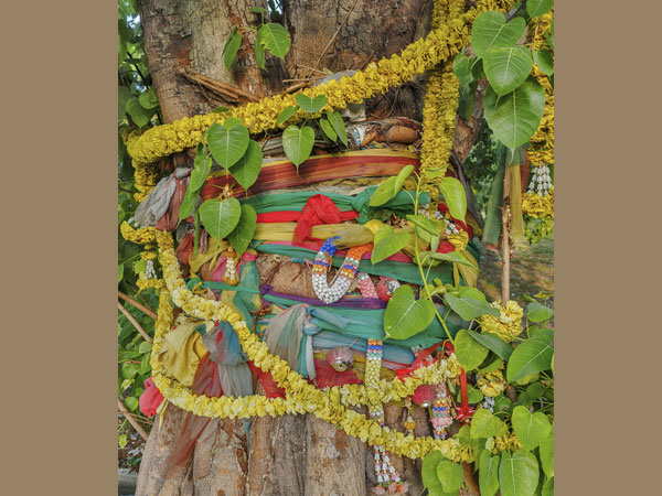 ವೈಜ್ಞಾನಿಕ ಕಾರಣಗಳು