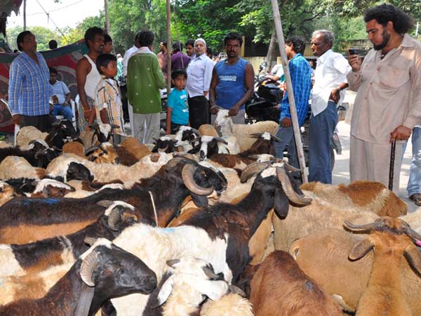 ವಿಶೇಷ ಖಾದ್ಯಗಳ ತಯಾರಿ