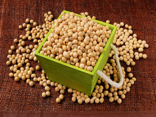 ಸೋಯಾ ಪ್ರೋಟೀನ್