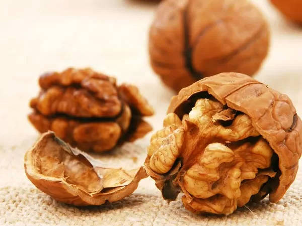 ಅಕ್ರೋಟು