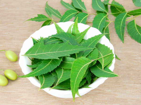 ಬೇವಿನ ಎಲೆ