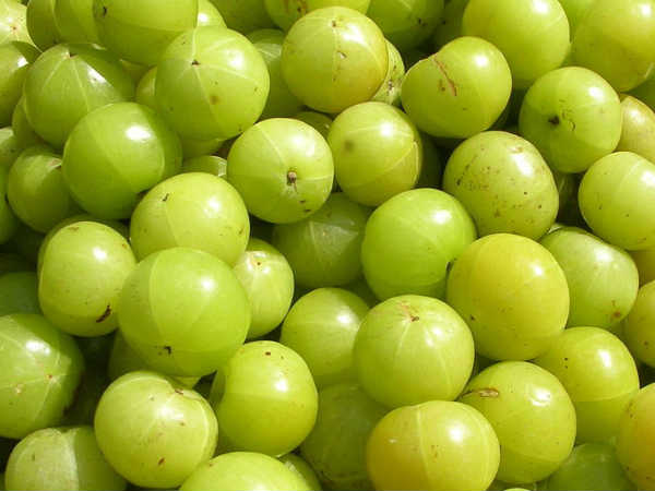 ಬೆಟ್ಟದ ನೆಲ್ಲಿಕಾಯಿ