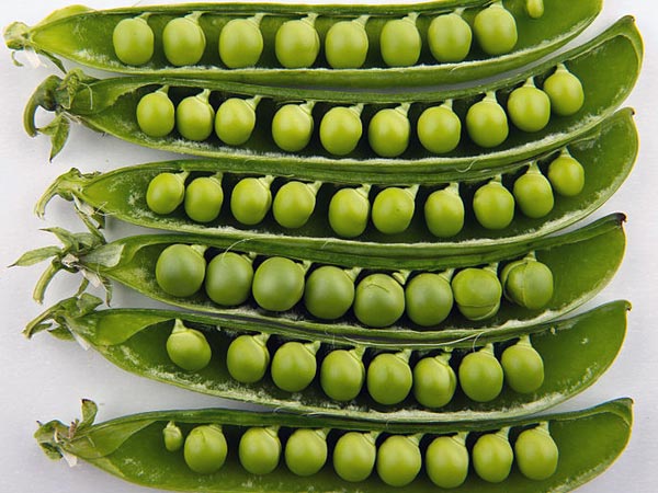 5. ಬಟಾಣಿ ಫೇಸ್ ಪ್ಯಾಕ್: