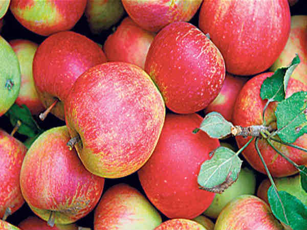 ನಿರ್ವಿಶೀಕರಣ