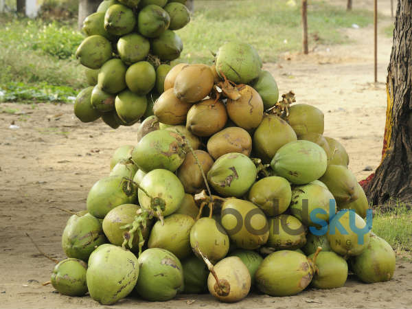 1. ಎಳನೀರನ್ನು ಕುಡಿಯಿರಿ