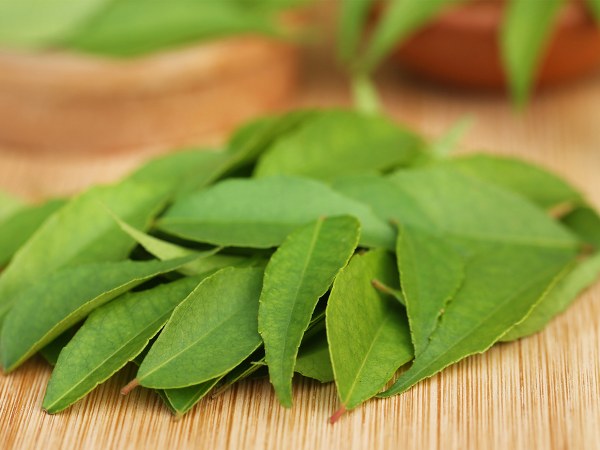 Curry leaves in kannada Clearance